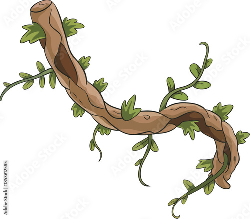 Twisted wooden jungle vine with green leaves and climbing creeper illustration