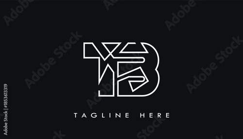 creative modern stylish connected alphabet letter tb logo design