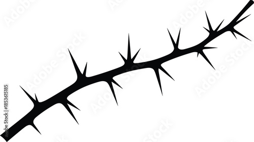 Black thorn branch silhouette isolated on white background, sharp spines nature symbol, danger concept, minimal botanical illustration design