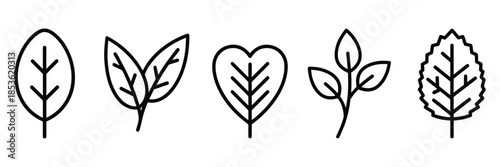 Minimalist leaf icons in black line art