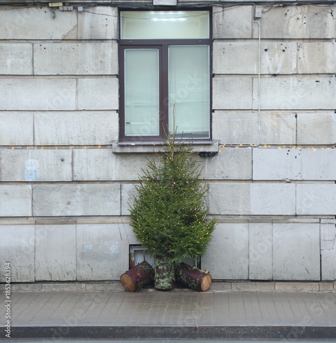 An artificial Christmas tree stands on the sidewalk in front of a residential building