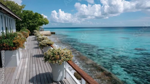 Scenic path by the ocean with vibrant flowers and clear waters