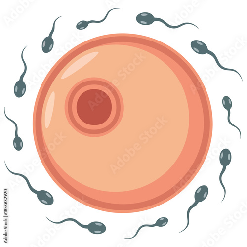 In vitro fertilization illustration showing artificial insemination fertilisation and injecting sperm into egg cell for assisted reproductive treatment concept