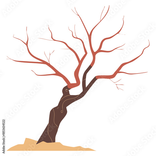 Leafless dry tree vector illustration isolated on white background detailed barren tree concept suitable for nature autumn drought or minimal stark design themes