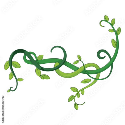 Liana branches with leaves jungle plant decorative element rainforest flora vector illustration perfect for tropical background patterns or nature design