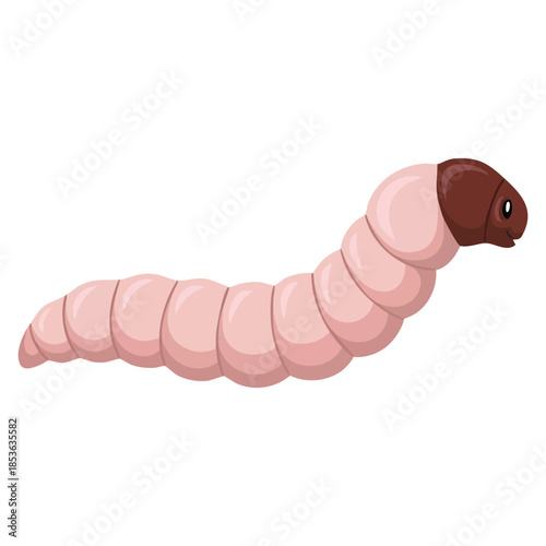 Maggot or larva isolated on white background vector illustration perfect for biology education insect lifecycle science learning and detailed entomology themed artwork