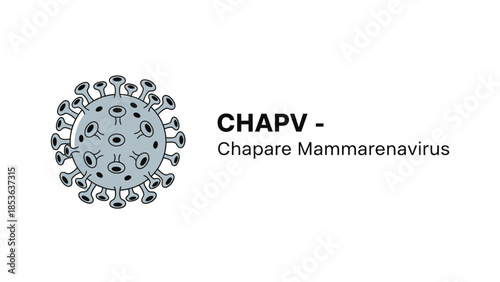 Chapare Mammarenavirus (CHAPV) virus cell structure illustration