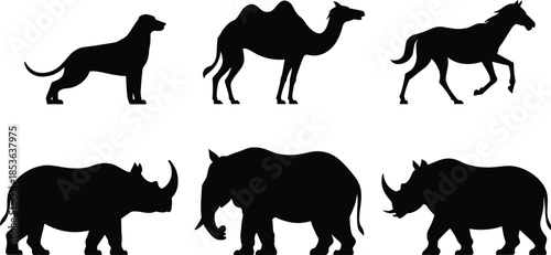 Wild animal silhouettes collection including dog camel horse elephant and rhinoceros, black wildlife figures isolated on white background set