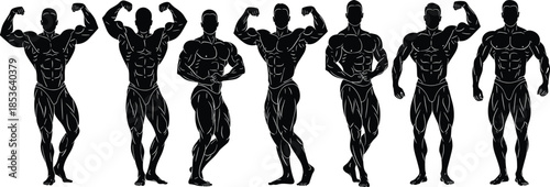 Bodybuilder silhouettes flexing muscles poses, powerful male anatomy strength display, fitness bodybuilding concept, isolated athletic illustration collection set