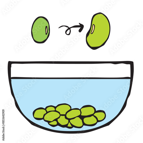 調理手順_豆を水に浸す_小豆・金時豆・小豆・大豆・青豆　beans