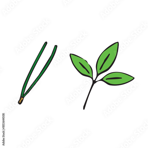 お正月_料理飾り_南天・梅・松
This is a plant that is used to decorate New Year's meals.