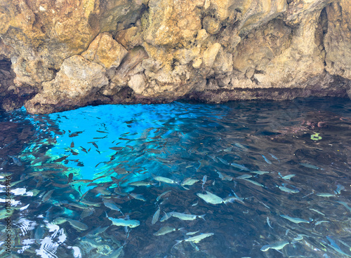 School of fish swims in clear blue sea water at the Blue Eye Cave in Paleokastritsa, Corfu Island, Greece, above view