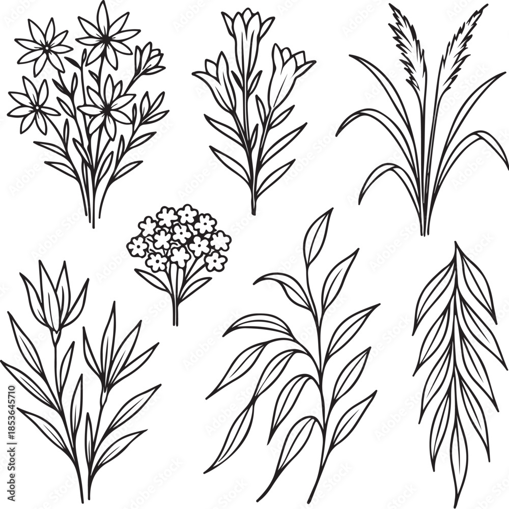 Naklejka premium Wild Alpine Overflow Bouquet Array Organic Botanical Silhouette Line Art.eps