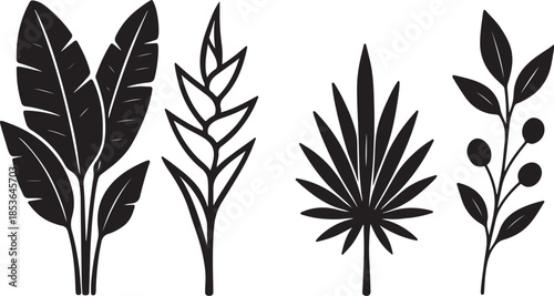 Rainforest Biomass Bouquet System Tropical Botanical Silhouette Line Art Set.eps