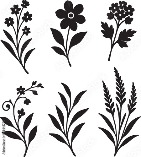 Mooncrest Bloom Symphony Six Elegant Botanical Silhouette Bouquets.eps