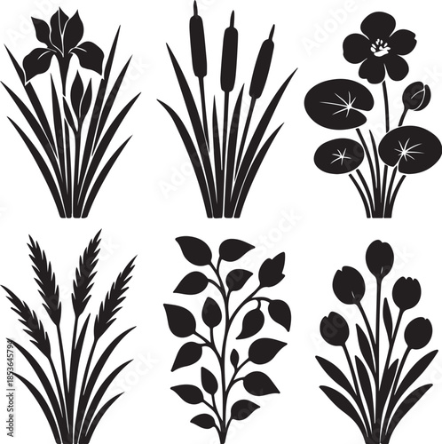 Marshland DeepReed Assemblage Six Wetland Botanical Silhouette Bouquets.eps