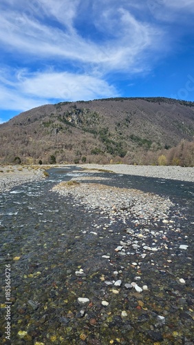 Stunning view of Río Maichín on a sunny day in southern Chile. Clear river waters, surrounding forest, and bright natural light create a vibrant and peaceful landscape.