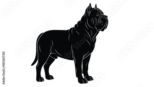 Black Silhouette of a Strong Cane Corso Dog Standing Isolated on White