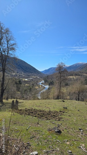 Stunning view of Río Maichín on a sunny day in southern Chile. Clear river waters, surrounding forest, and bright natural light create a vibrant and peaceful landscape.