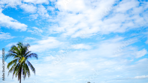 Blue sky with soft white clouds and tropical palm tree calm and refreshing nature background, Ideal for summer travel vacation relaxation freedom and outdoor lifestyle concepts.