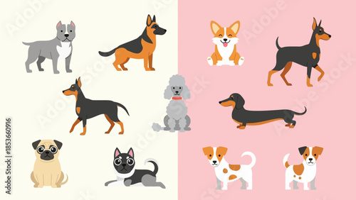 A colorful collection of dog breeds rendered in a playful illustration style