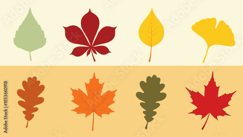 Collection of Assorted Autumn Leaves in Various Colors and Shapes on a Warm Gradient Background