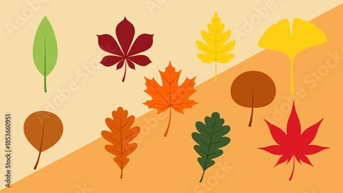 Collection of Various Modern and Traditional Houses and Buildings with Trees and Palm Trees