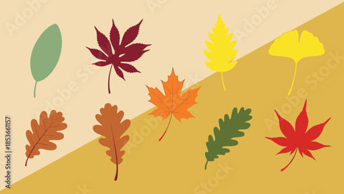 Collection of autumn leaves in various shapes and colors, symbolizing the changing seasons