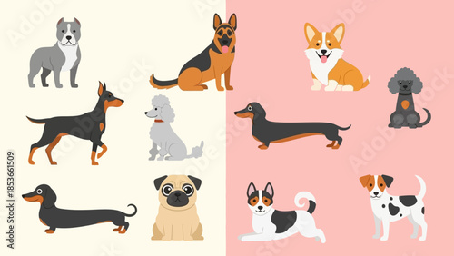Collection of Diverse Dog Breeds, Showcasing Various Sizes, Colors, and Poses