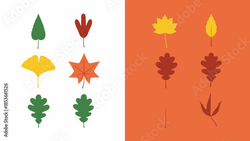 Collection of colorful autumn leaves in various shapes and sizes, perfect for seasonal decoration and design
