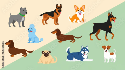 A charming collection of diverse dog breeds, showcasing various popular breeds in a playful and artistic illustration