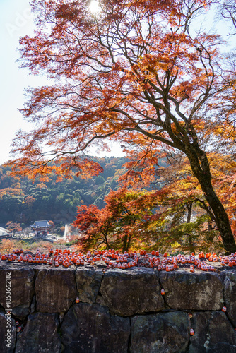 Wallpaper Mural Tempelanlagen in der Nähe von Kyoto Torontodigital.ca