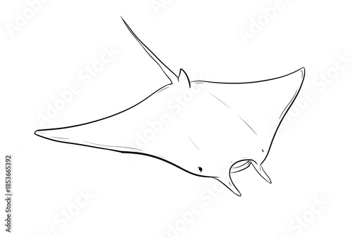 Fotografie manta ray digital drawing illustration isolated