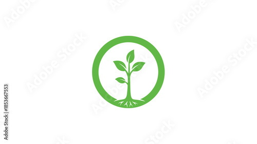 Green Plant Growing Logo Design Element.