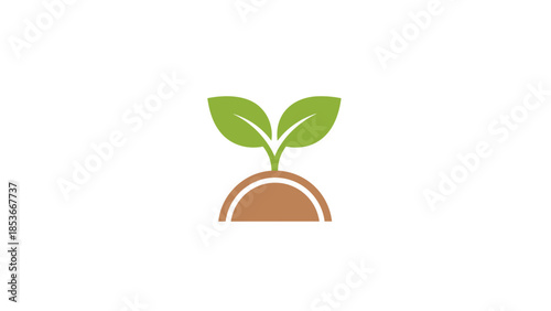 Simple Green Seedling Growing Outdoors.