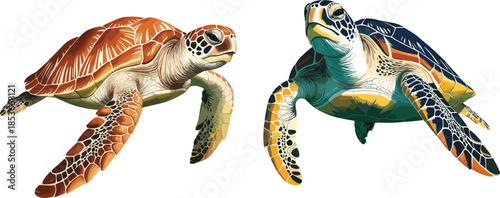 Sea turtle illustration, colorful marine reptile vector art wildlife ocean nature swimming design digital detailed
