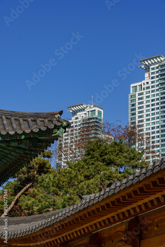 Photography Winter in Seoul, Südlorea