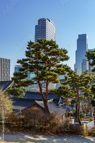 Photography Seoul in Südkorea