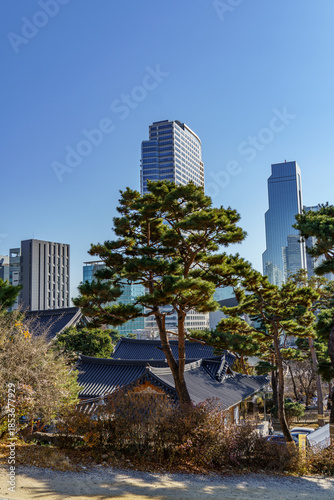 Photography Seoul in Südkorea