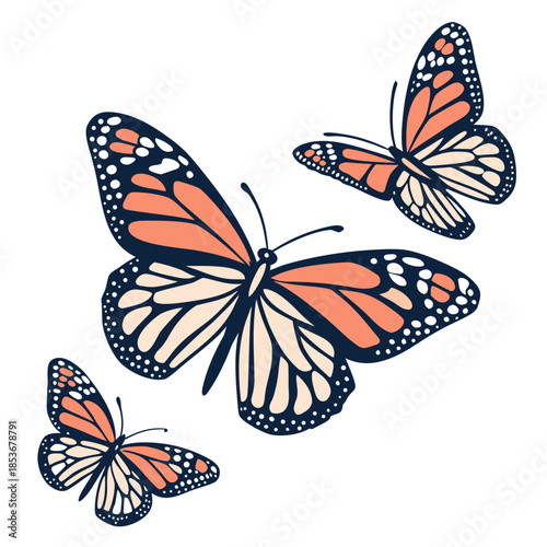 Monarch butterflies captured mid flutter natural asymmetrical flight