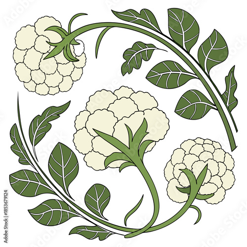 Cauliflower florets and leaves forming a circular pattern