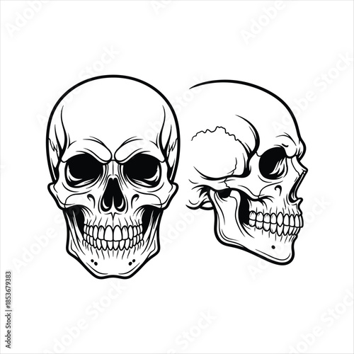 Detailed skull illustrations depicting gothic horror and tattoo art design