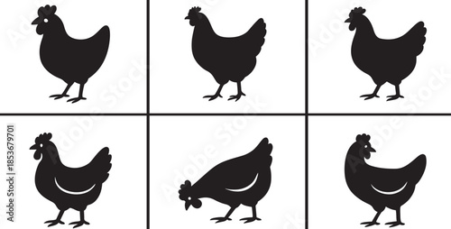 Chicken silhouettes icon set in bold vector style, farm poultry symbols isolated on white background.