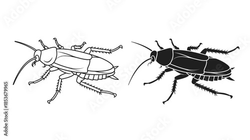 Two contrasting cockroach illustrations detailed line art and solid black silhouette
