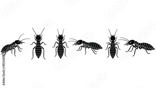 A row of black silhouette ants illustrates insect life and social behavior