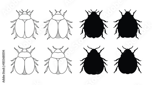 Collection of beetle illustrations depicting variations in shape and color