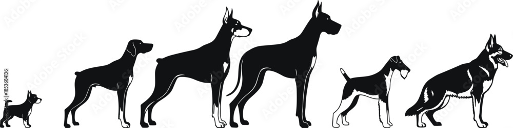 Fototapeta premium Dog breed size comparison silhouettes showing small to large canine profiles in minimalist black vector illustration on white background