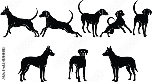 Dog silhouettes collection showing different breeds and poses, walking running standing canine figures isolated on white background