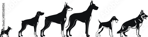 Dog breed size comparison silhouettes showing small to large canine profiles in minimalist black vector illustration on white background
