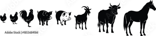 Farm animal size comparison silhouettes showing poultry, pig, goat, cow, and horse illustrating livestock scale progression in clean black vector style